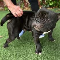 Thumbnail photo of Gertrude #4