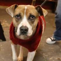 Thumbnail photo of Champion #2