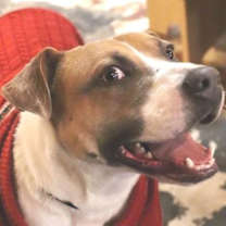 Thumbnail photo of Champion #4