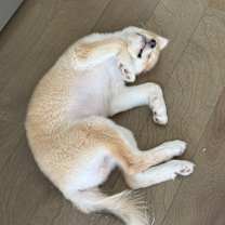 Thumbnail photo of LEO #3