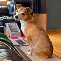 Thumbnail photo of Lala #3