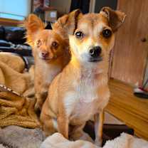 Thumbnail photo of Lala #4