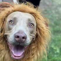 Thumbnail photo of Bo #2