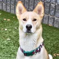 Thumbnail photo of Sandy #1