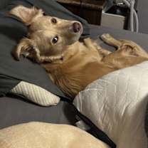 Thumbnail photo of Gemma #1