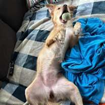 Thumbnail photo of Gemma #3