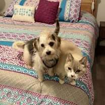 Thumbnail photo of Millie #3