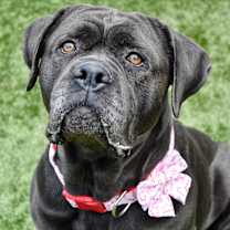 Thumbnail photo of May May #1