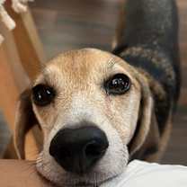 Thumbnail photo of Ocho #2