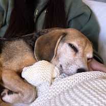 Thumbnail photo of Ocho #3