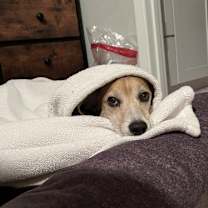 Thumbnail photo of Ocho #4