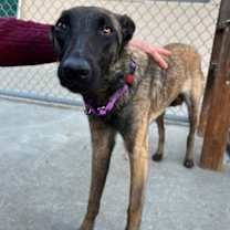 Thumbnail photo of Jewel in NV #1