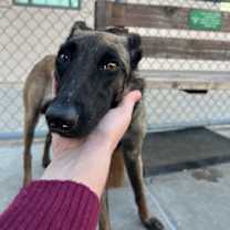 Thumbnail photo of Jewel in NV #2