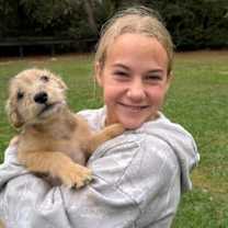 Thumbnail photo of Dust Bunny #2