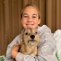 Thumbnail photo of Dust Bunny #3