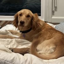 Thumbnail photo of Sydney #1