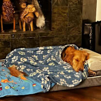 Thumbnail photo of Sydney #4