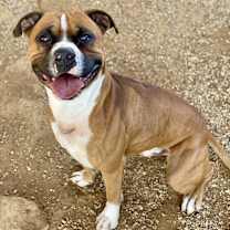 Thumbnail photo of Sanderson #3