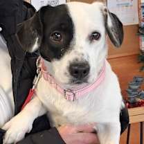 Thumbnail photo of Lainey #1