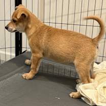 Thumbnail photo of Theo #2