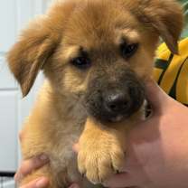 Thumbnail photo of Terry #1