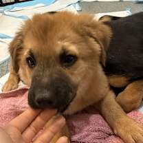 Thumbnail photo of Terry #3