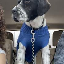 Thumbnail photo of Bernie #2