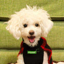 Thumbnail photo of Benny #4