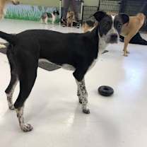 Thumbnail photo of Jewel #3