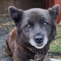 Thumbnail photo of Burrito #3