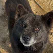 Thumbnail photo of Burrito #4