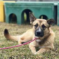 Thumbnail photo of Benben #1