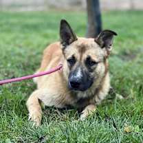 Thumbnail photo of Benben #2