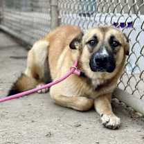 Thumbnail photo of Benben #3