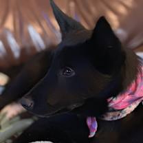 Thumbnail photo of Faith #2