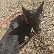 Thumbnail photo of Faith #3