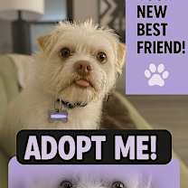 Thumbnail photo of Harvey #4