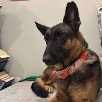 Thumbnail photo of Ela #2