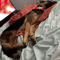 Thumbnail photo of Ela #3