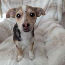 Thumbnail photo of Rad Smitt #1