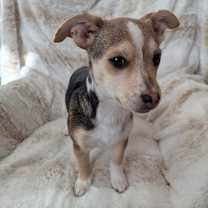 Thumbnail photo of Rad Smitt #2