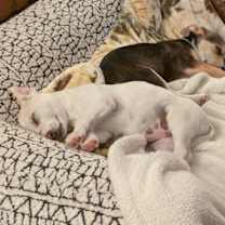 Thumbnail photo of Myrna Beesbottom #2