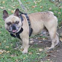 Thumbnail photo of Miller #3