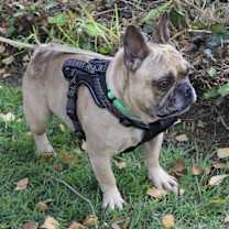 Thumbnail photo of Miller #4