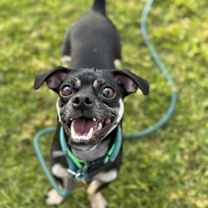 Thumbnail photo of Oscar #2