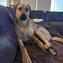 Thumbnail photo of Theo #2