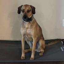 Thumbnail photo of Theo #3