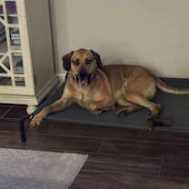 Thumbnail photo of Theo #4