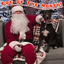 Thumbnail photo of Gordie #1