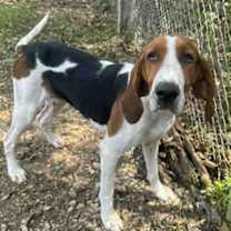 Thumbnail photo of Trinity #2